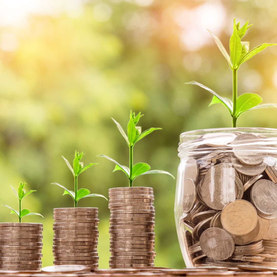 coin piles with sprouts on them