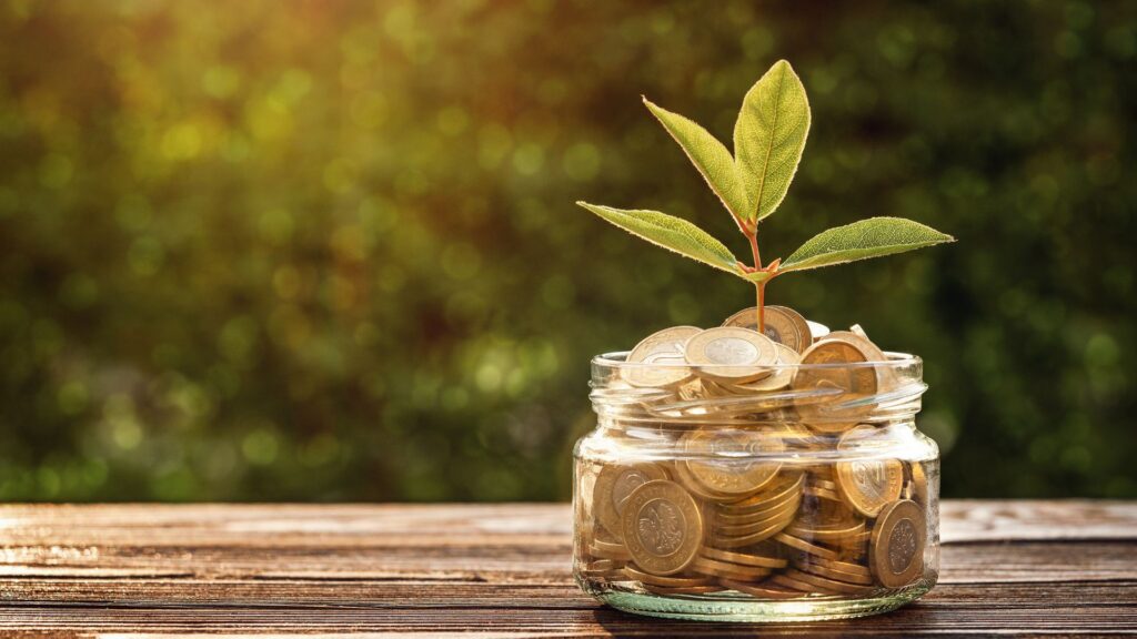 money in a planter with a plant growing